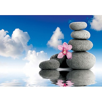 Zen Spa Ro Med Blommor Och Stenar