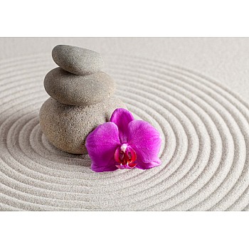 Zen Trädgårdsblomma