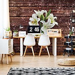 Vit blommor trä plank textur fototapet Vit blommor trä plank textur fototapet