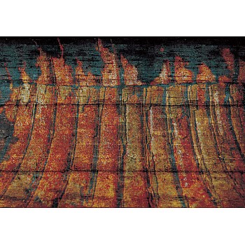 Grunge tre textur fototapet 