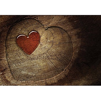 Heart tree fototapet 