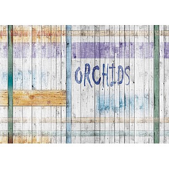 Painted Tre Planks Orchids