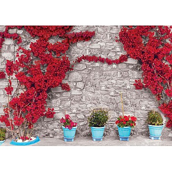 Röda blommor gammal stenvägg fototapet 