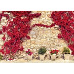 Röda blommor gammal stenvägg fototapet