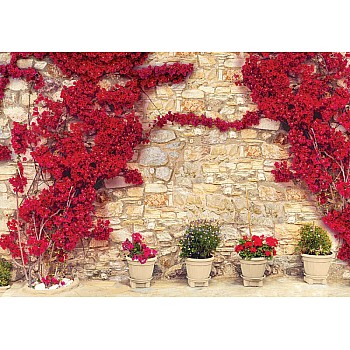 Röda blommor gammal stenvägg fototapet 