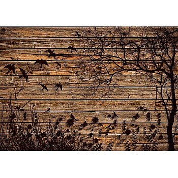 Rustik fåglar och träd siluett trä plank textur fototapet 