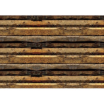 Rustik trädstruktur fototapet 