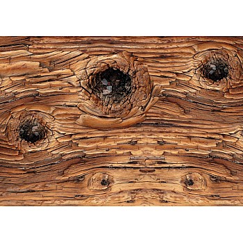 Trä konsistens fototapet 