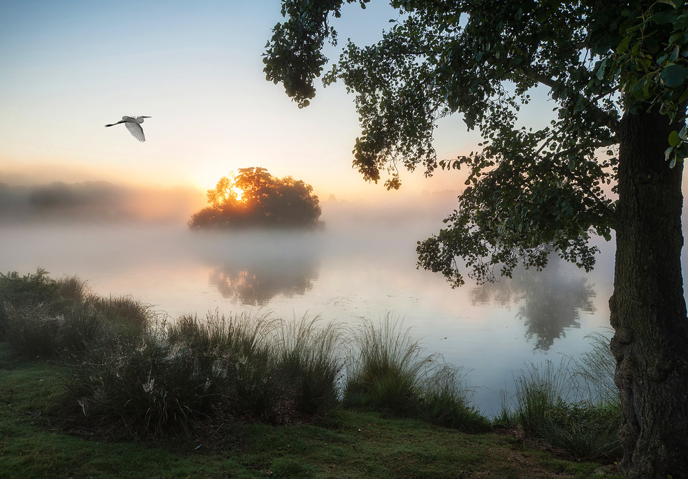 Landskap Natur Sjö Dimma Landskap Natur Sjö Dimma
