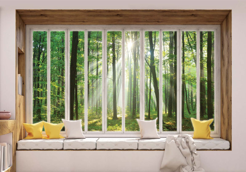 3d fönster visa skog soluppgång fototapet 