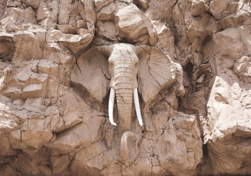 Sten elefant fototapet
