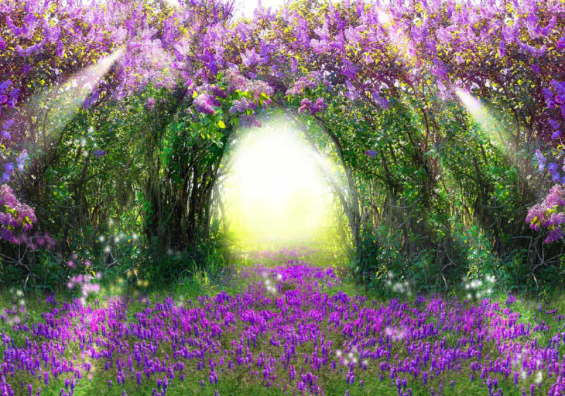 Enchanted Forest Flowers Photo Wallpaper Mural (2315VE)