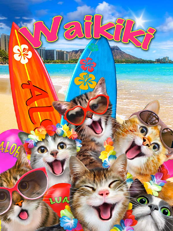 Waikiki katter surfare selfie fototapet 